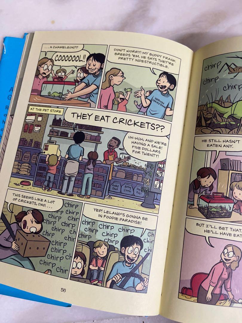 Sisters Graphic Novel, Hobbies & Toys, Books & Magazines, Storybooks on