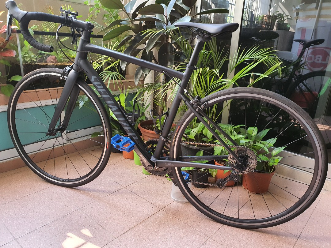 Specialized Road Bike (Medium), Sports 