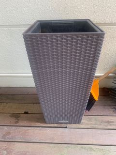 (Category: ) located in . Submitted by purplemojo (Listing ID 1117842234, Image 1). Description: .