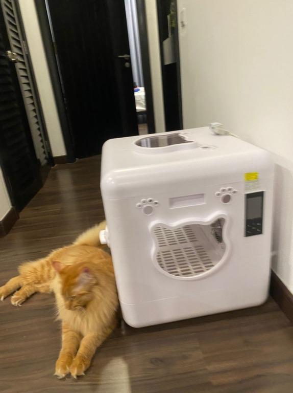 Automatic pet cat dryer machine pet bath drying box blowing dryer 