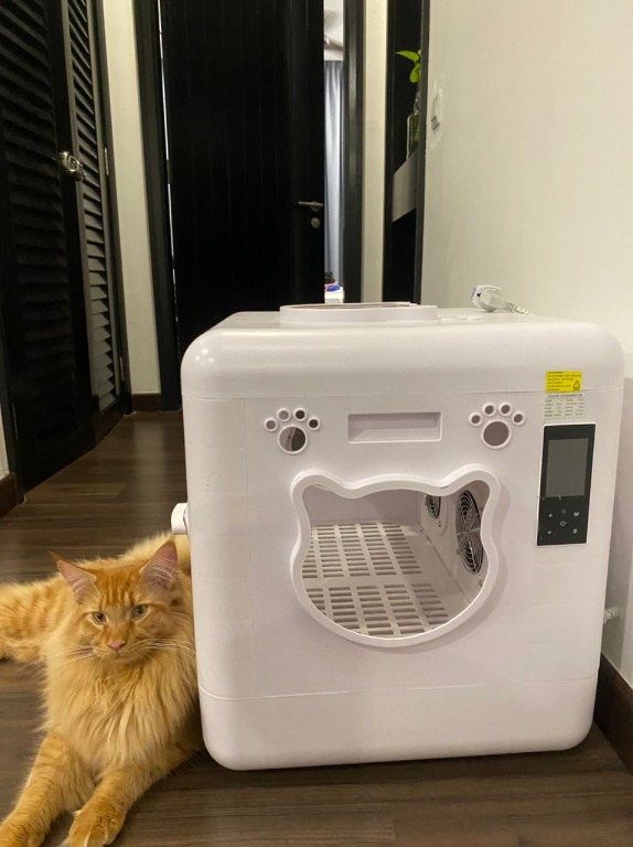 Cat new arrivals dryer machine