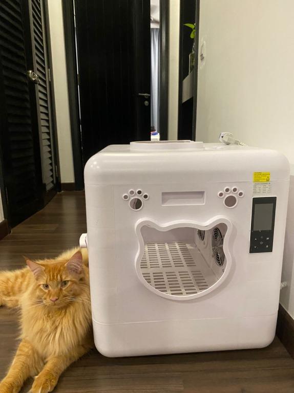 Cat drying shop machine