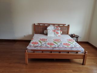 (Category: ) located in . Submitted by thennshop (Listing ID 1118034880, Image 1). Description: .