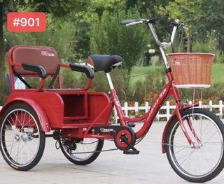 Cargo Bike Tricycle