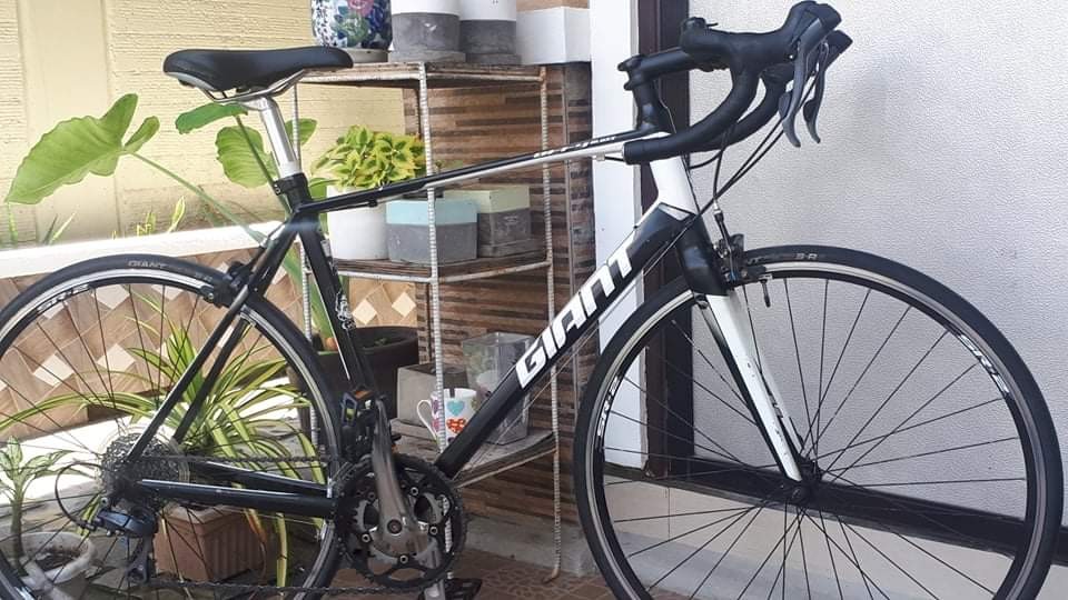 Giant defy sales 4 2015