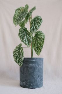 (Category: ) located in . Submitted by komo.pots (Listing ID 1118065143, Image 1). Description: .