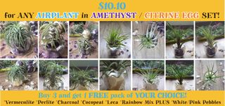 (Category: ) located in . Submitted by growforlife (Listing ID 1118316484, Image 1). Description: .
