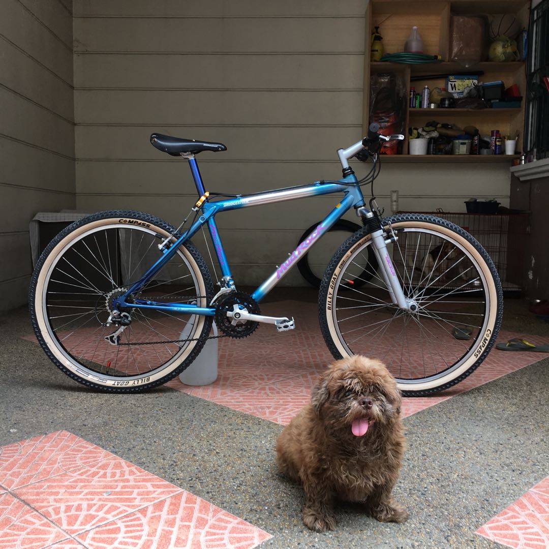 1993 Retro MTB Bridgestone Mudrock MR-1, Sports Equipment 