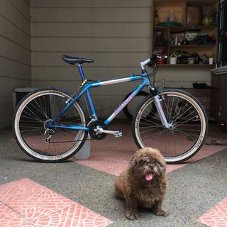 (Category: ) located in . Submitted by marvinsole (Listing ID 1118287396, Image 1). Description: .