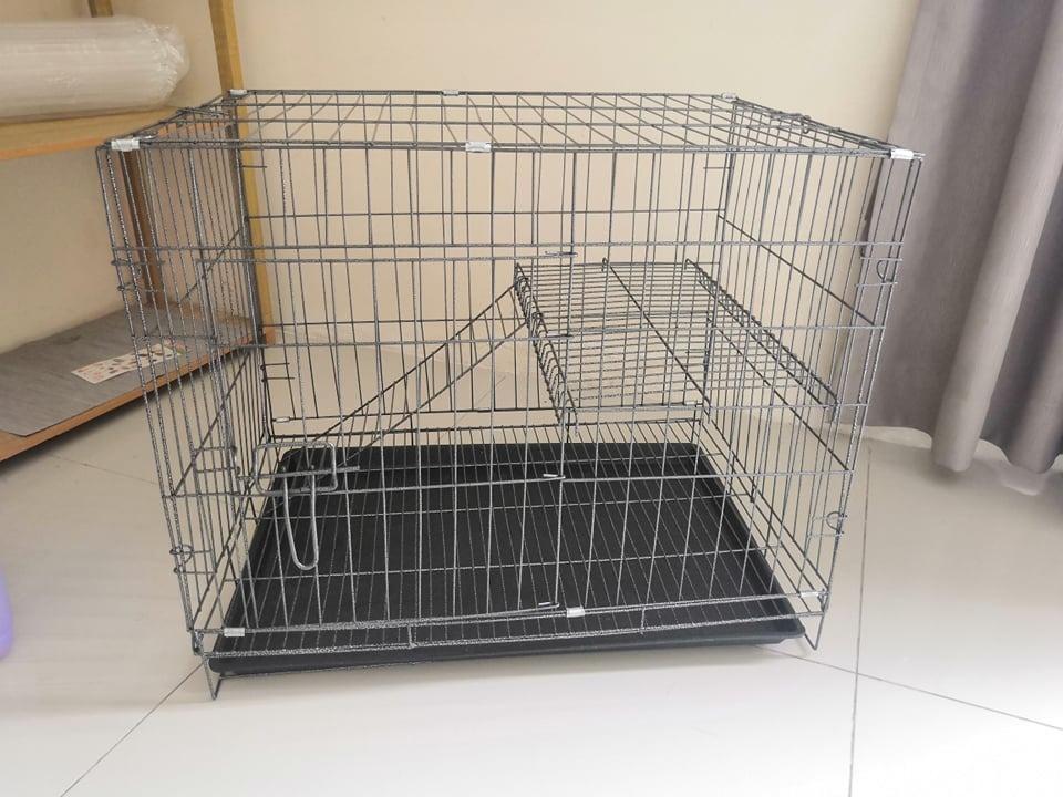2 Feet Pet Cat Cage One Level 60cm L X 40cm W X 50cm H Pet Supplies Pet Accessories On Carousell