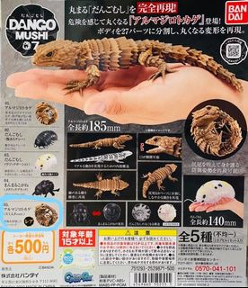 （分類：）位於 。 由 tyyipka 提交（商品編號 1118281035，圖片 1）。簡介： 。
