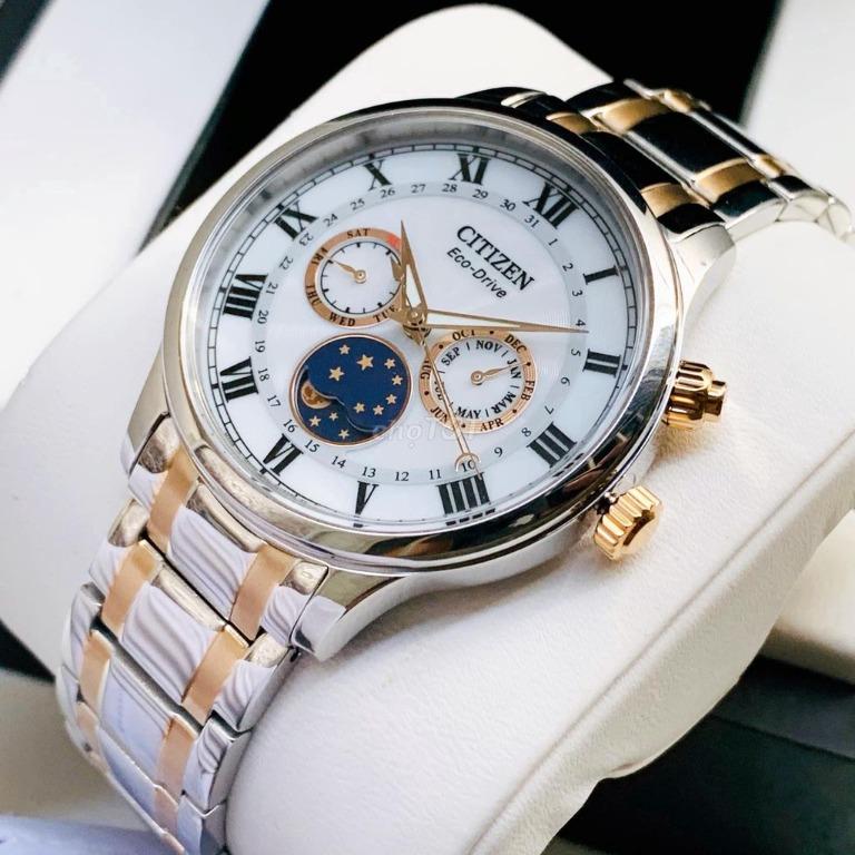 Citizen Eco Drive AP1054 80A Moon Phase Two Tone Rose Gold