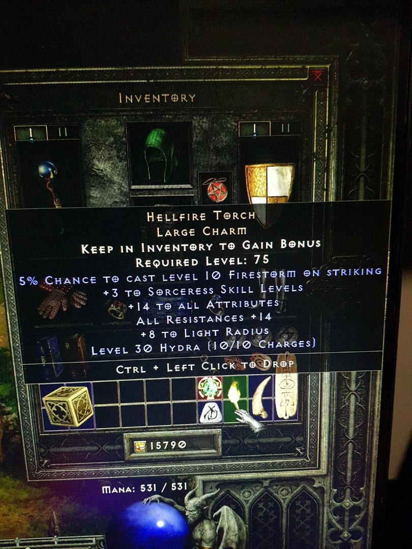 Hellfire Torch diablo 2 resurrected SOLD, Video Gaming, Gaming Accessories, InGame Products on