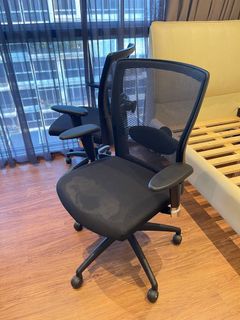 (Category: ) located in . Submitted by plantnfern (Listing ID 1118209611, Image 1). Description: .