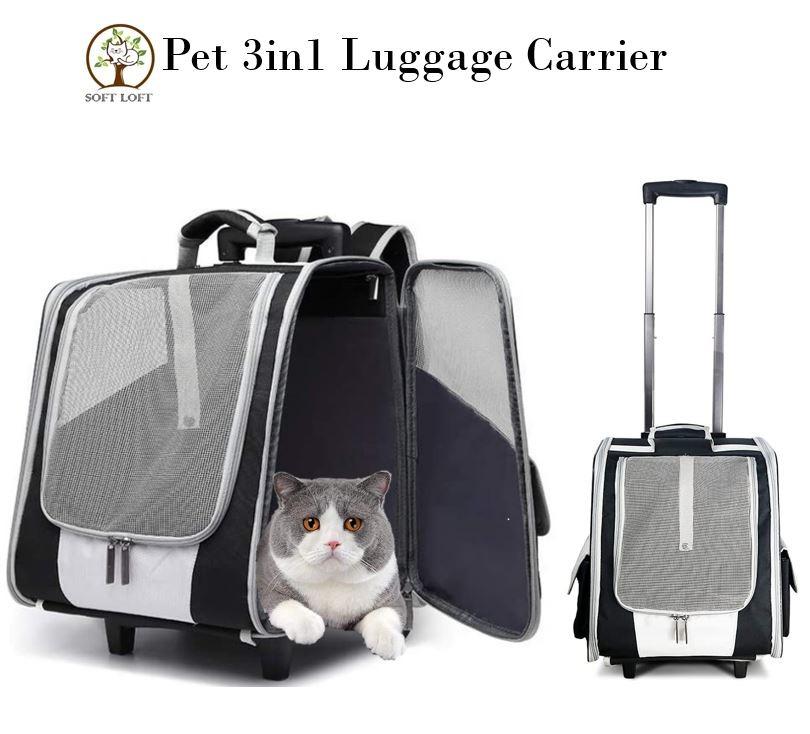 Cat luggage clearance bag