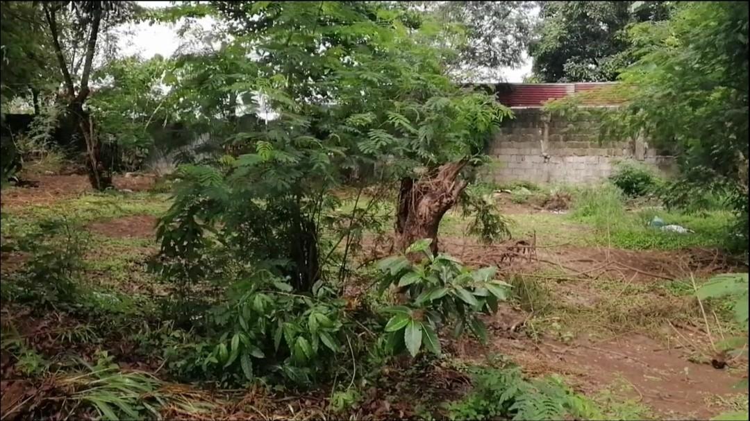 Villa Vienna Subdivision NEOPOLITAN 1B Greater Lagro Quezon City / 300