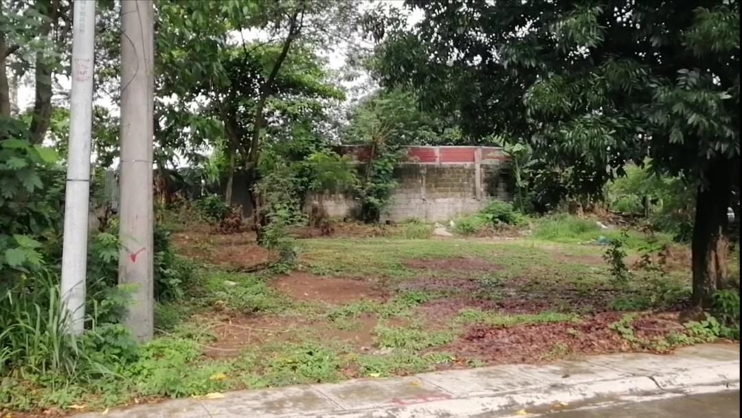 Villa Vienna Subdivision NEOPOLITAN 1B Greater Lagro Quezon City / 300