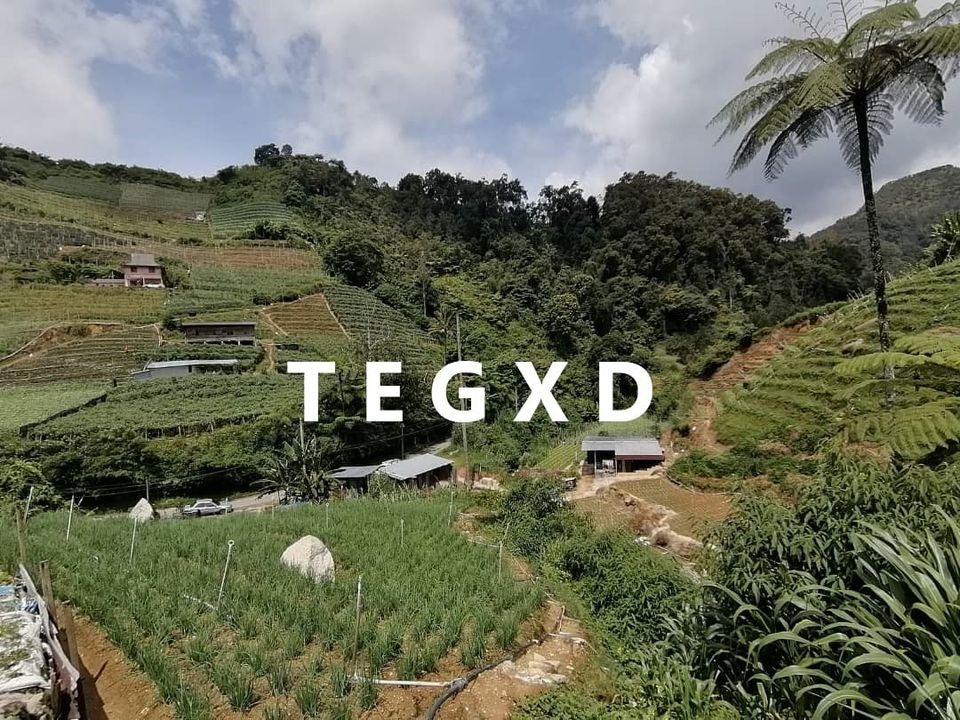 [WTS] 450k Cameron Highland Pahang Agriculture Hot Land, Property, For Sale on Carousell