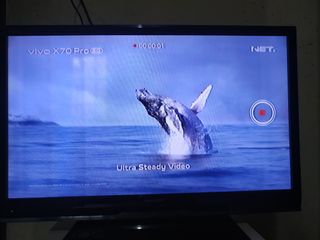 (Kategori: ) berada di . Dikirim oleh litafeb (ID iklan 1118430025, Gambar 1). Deskripsi: .