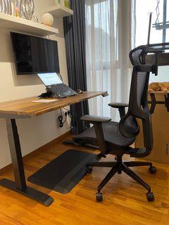 Ergotune Chair