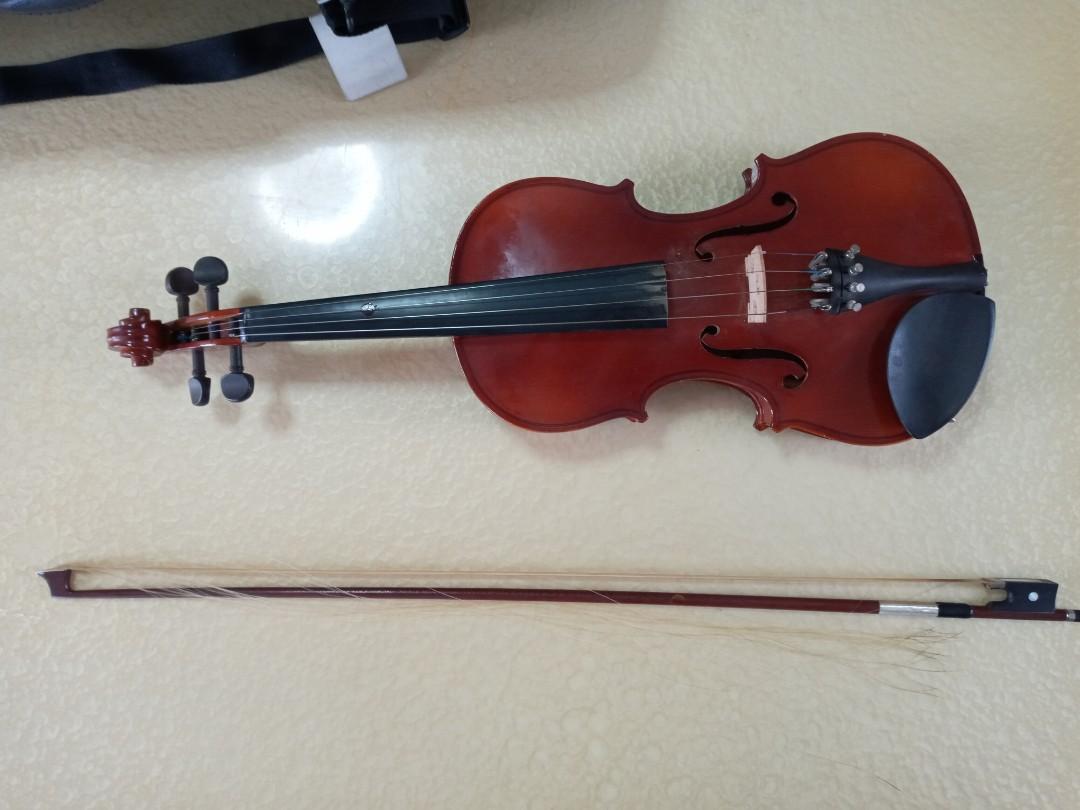 Full size Parrot Violin, Hobbies & Toys, Music & Media, Musical ...