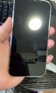 （分類：）位於 。 由 toto2005 提交（商品編號 1118490030，圖片 1）。簡介： 。