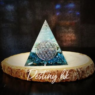 （分類：）位於 。 由 yswinggg 提交（商品編號 1118577883，圖片 1）。簡介： 。