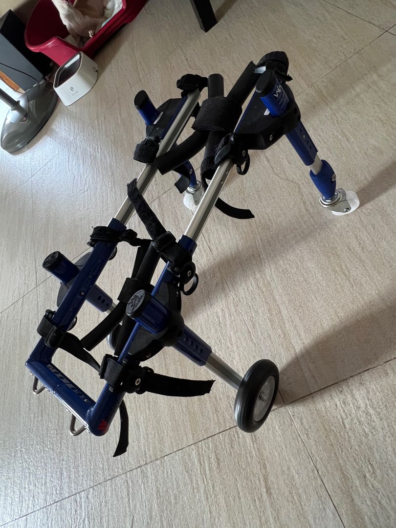 Quad Dog Wheelchair, Pet Supplies, Homes & Other Pet Accessories on