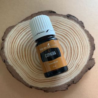 （分類：）位於 。 由 joyofloving 提交（商品編號 1118424128，圖片 1）。簡介： 。