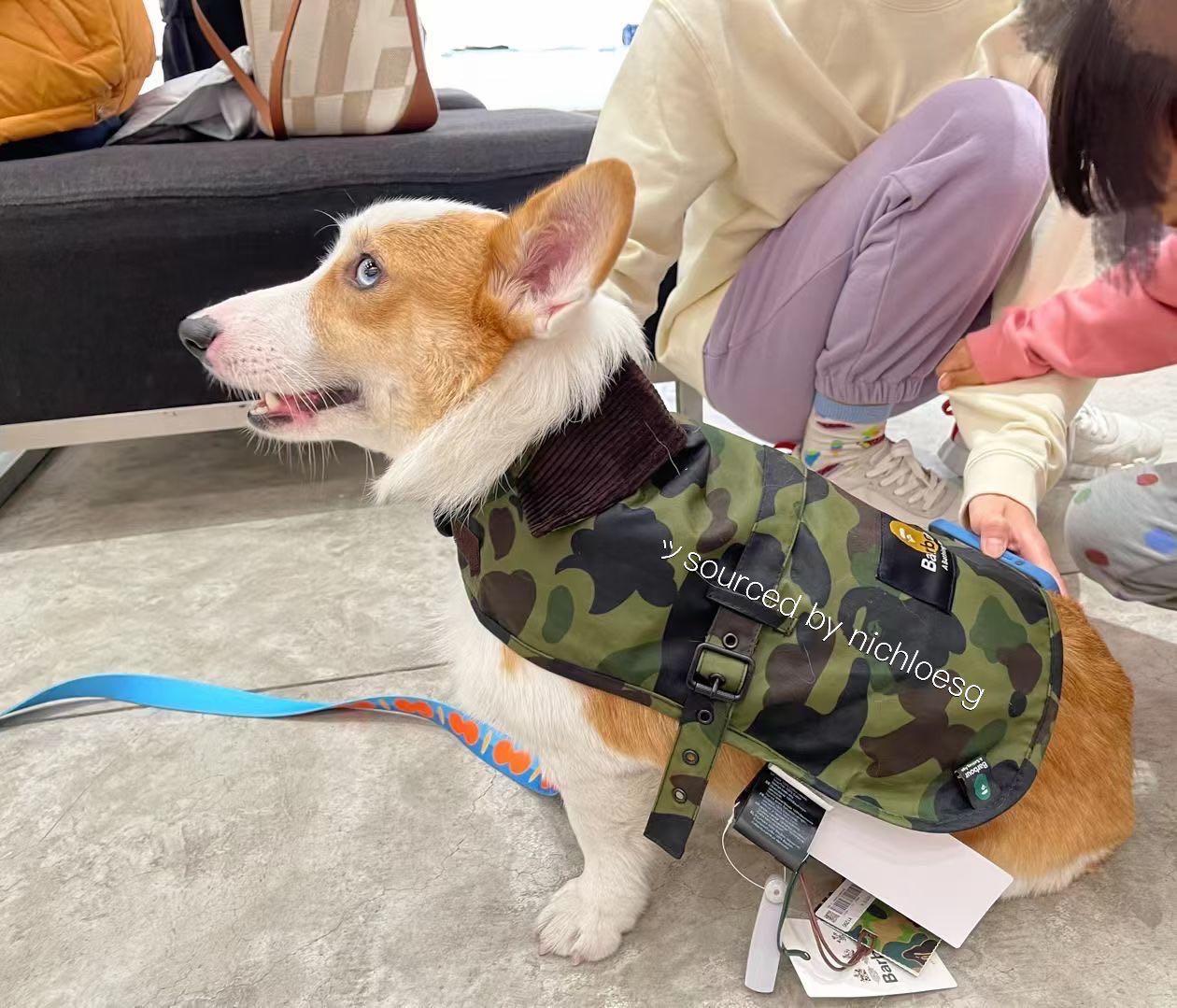 bape dog backpack