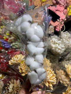 DRIED AND PRESERVED COTTON FLOWER