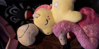 (Category: ) located in . Submitted by gingernov (Listing ID 1122939562, Image 1). Description: .