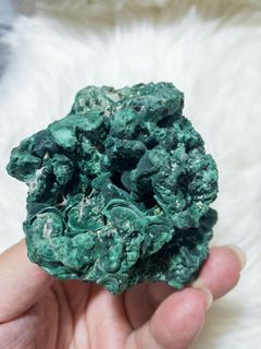 (Category: ) located in . Submitted by palace_of_crystal (Listing ID 1062342746, Image 1). Description: .