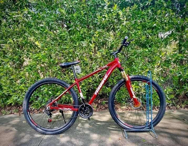 Asbike 29er cheap