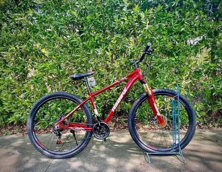 Asbike 29er price store