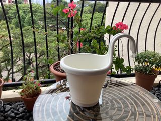 (Category: ) located in . Submitted by ashdias (Listing ID 1122964640, Image 1). Description: .