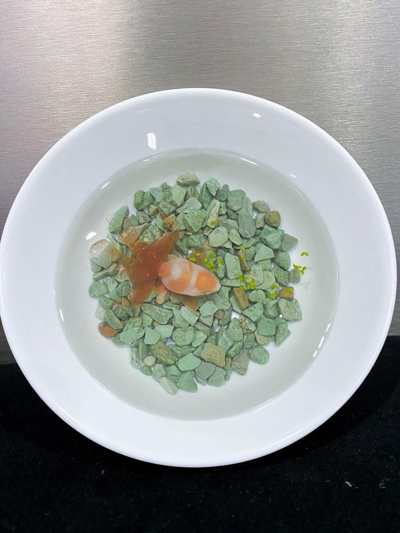 3D Goldfish With Emerging Partial Tail In Epoxy Resin. Art Display, Pet,  Furniture & Home Living, Home Decor, Vases & Decorative Bowls On Carousell