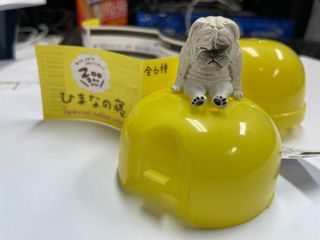 （分類：）位於 。 由 sumikko_fan 提交（商品編號 1124748987，圖片 1）。簡介： 。