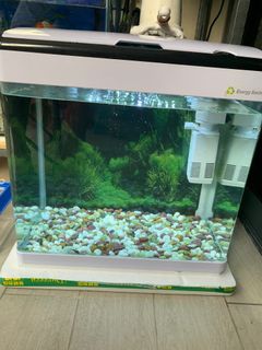 (Category: ) located in . Submitted by eldwin75 (Listing ID 1124811307, Image 1). Description: .