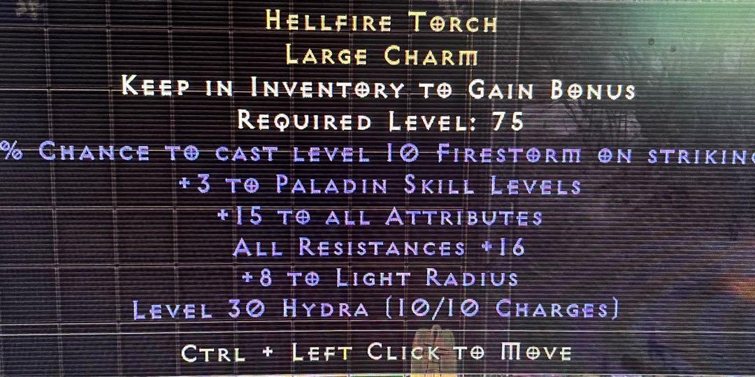 D2R PALADIN HELLFIRE TORCH**, Video Gaming, Gaming Accessories, InGame