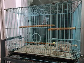 (Category: ) located in . Submitted by tmr78 (Listing ID 1124906939, Image 1). Description: .