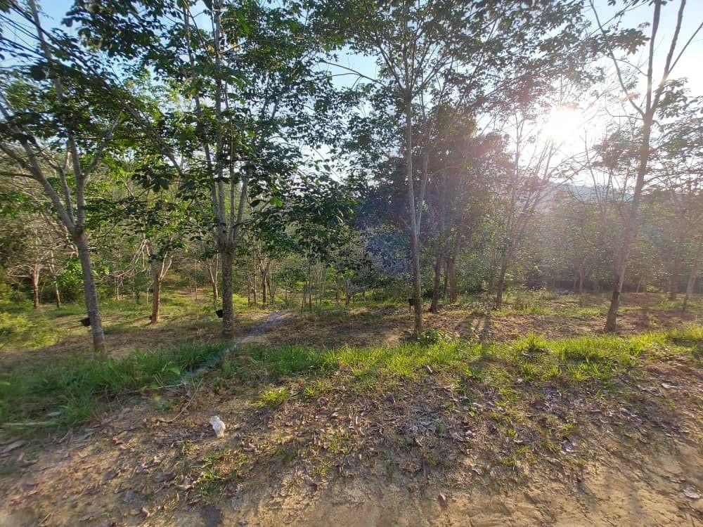 Tanah Pertanian Untuk Dijual Di Gemencheh Negeri Sembilan Property For Sale On Carousell