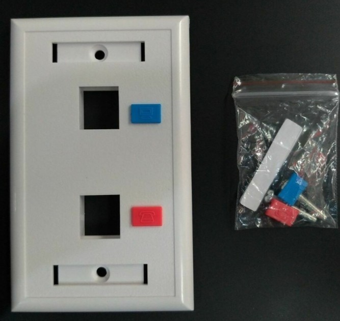 Wall Plate Dual IO port, Computers & Tech, Office & Business Technology ...