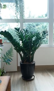 （分類：）位於 。 由 mandyhuihk 提交（商品編號 1125063962，圖片 1）。簡介： 。