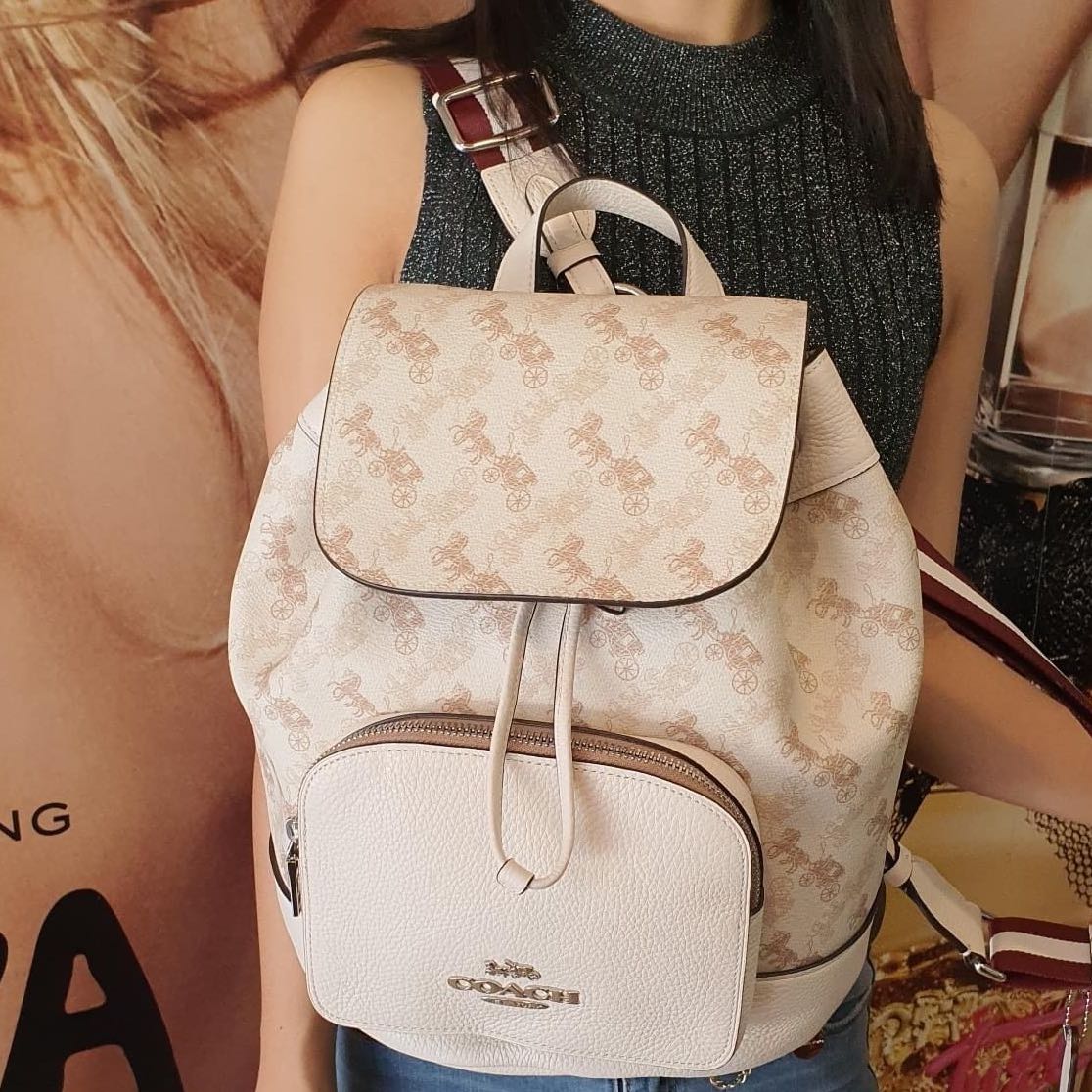 Jes backpack with horse and carriage top
