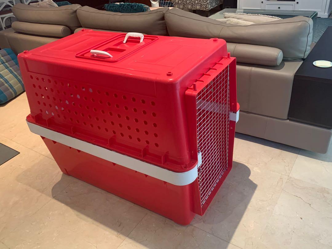 Pp70 top dog crate
