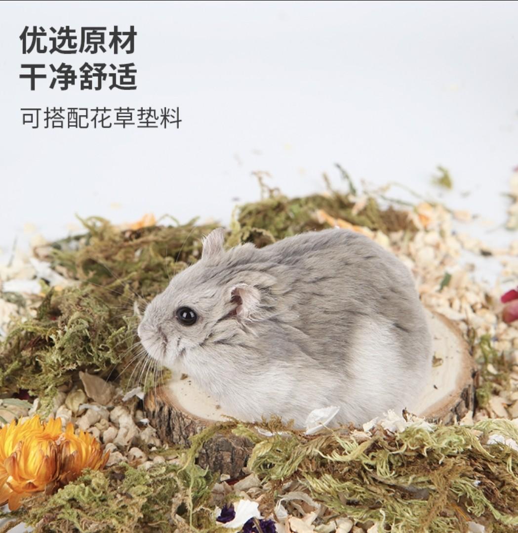 Dry Moss for Hamster Cage Enclosure, Pet Supplies, Homes & Other Pet