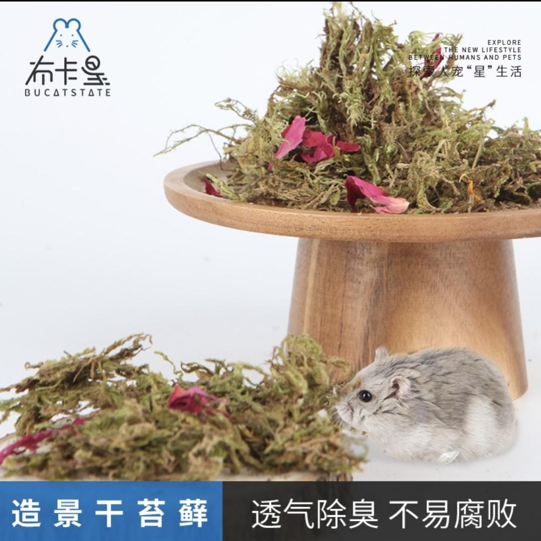 Dry Moss for Hamster Cage Enclosure, Pet Supplies, Homes & Other Pet
