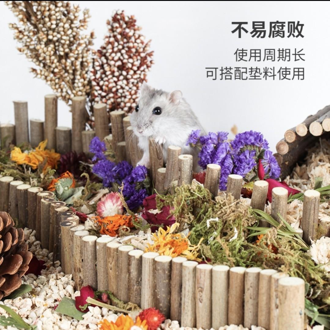 Dry Moss for Hamster Cage Enclosure, Pet Supplies, Homes & Other Pet