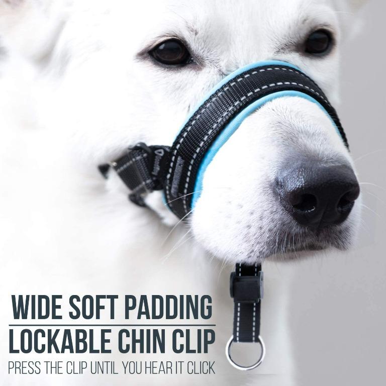 Good boy dog training collar new arrivals